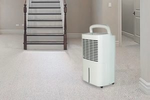 Dehumidifiers For Basements thumbnail