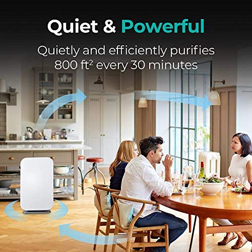 Alen BreatheSmart 45i HEPA Air Purifier